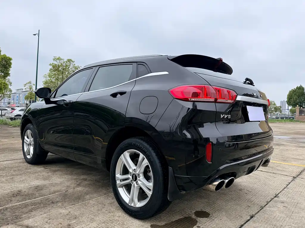 Wei brand VV5 2019 1.5T two-wheel drive Yanfeng купить на сайте DeffCars