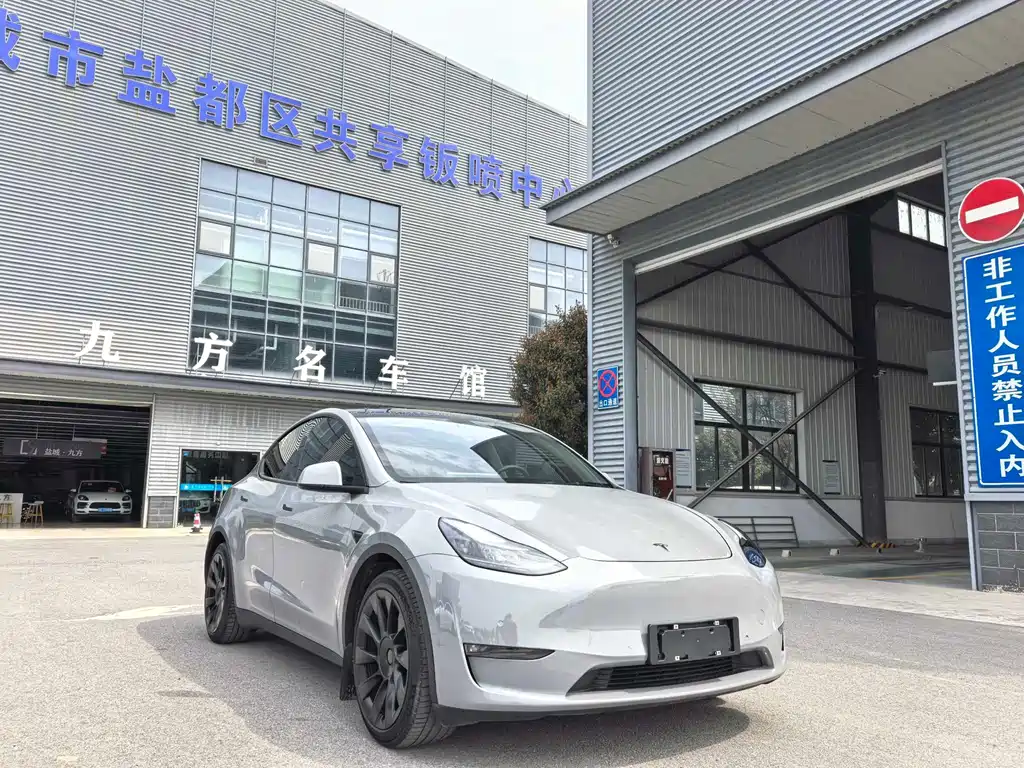 Model Y 2021 standard range rear-wheel drive version купить на сайте DeffCars