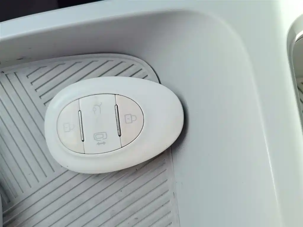 Jihu Koala 2023 Home Edition купить на сайте DeffCars