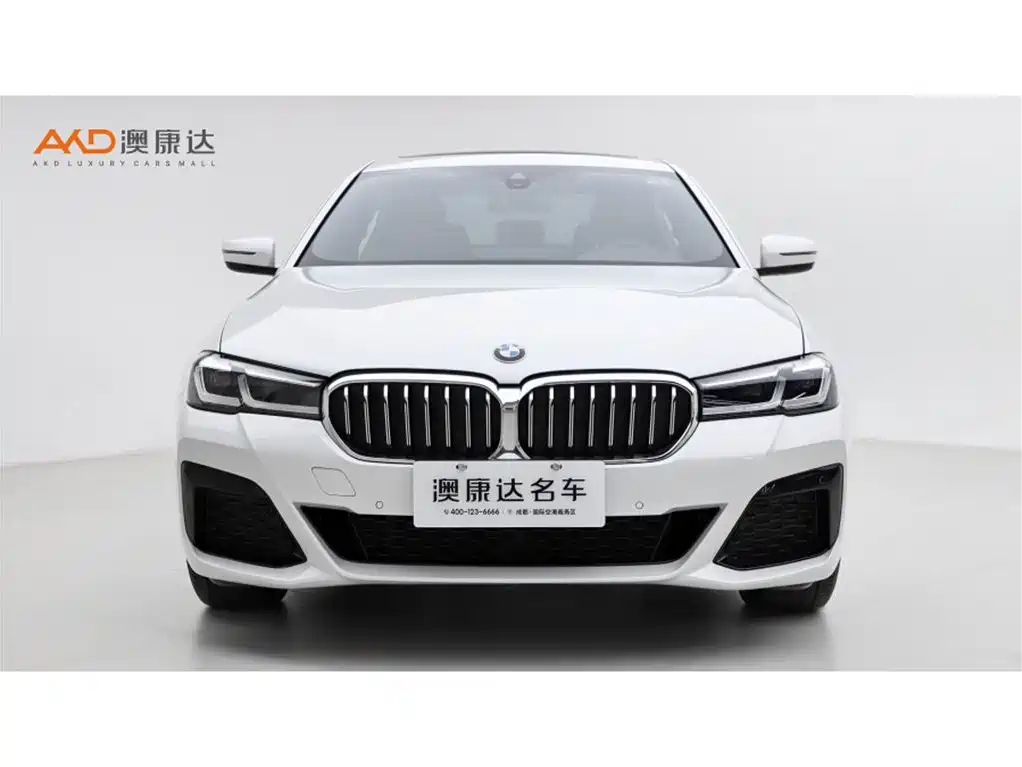 BMW 530Li/2.0T/22 models/modification leading M sports package купить на сайте DeffCars