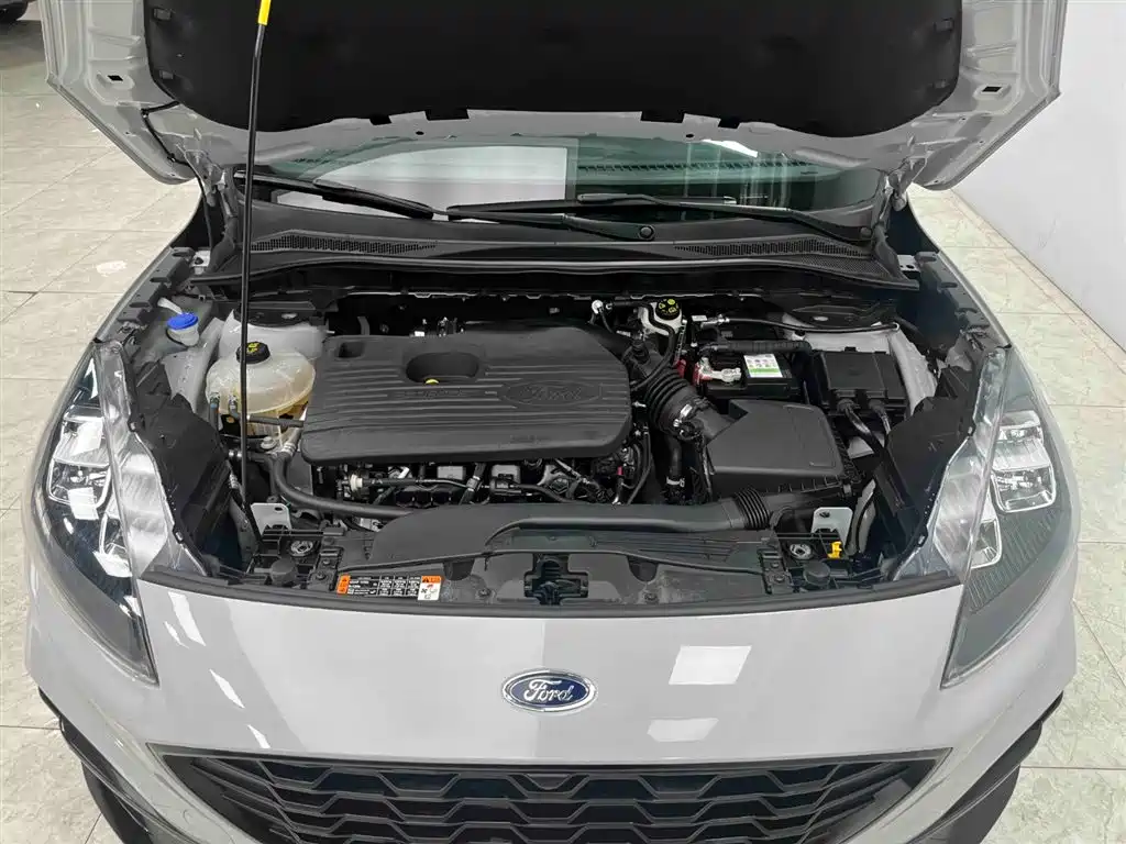 Ruiji 2024 EcoBoost 245 four-wheel drive ST-Line Pro купить на сайте DeffCars