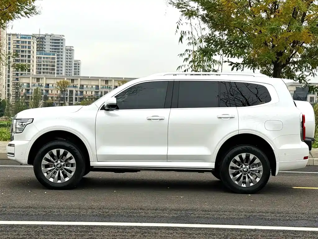 Tank 500 2022 model 3.0T sports version, environment type, 5 seats купить на сайте DeffCars