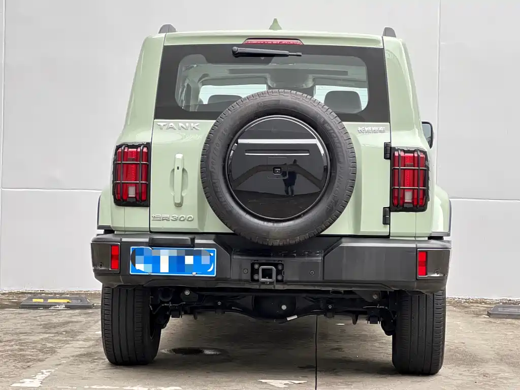 Tank 300 2023 City Edition 2.0T Very Stylish купить на сайте DeffCars