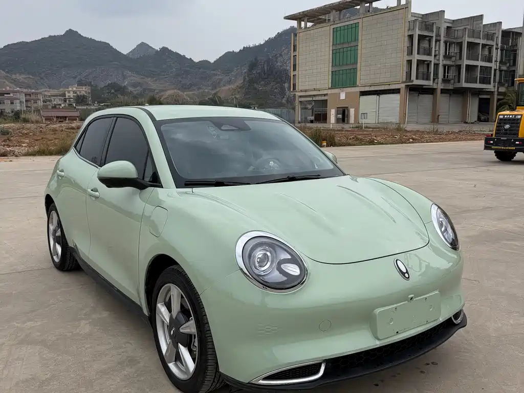 Euler Good Cat 2022 model 400km standard battery life luxury model ternary lithium купить на сайте DeffCars
