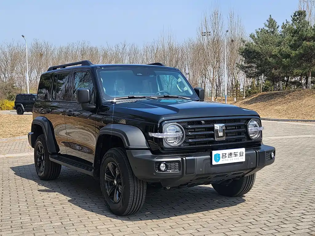 Tank 300 2025 2.0T Gasoline Conqueror купить на сайте DeffCars