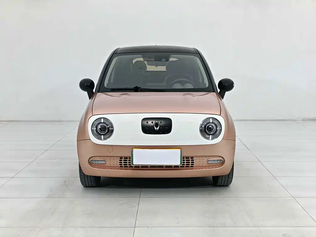 ORA Black Cat 2021款 351km 豪华型 купить на сайте DeffCars