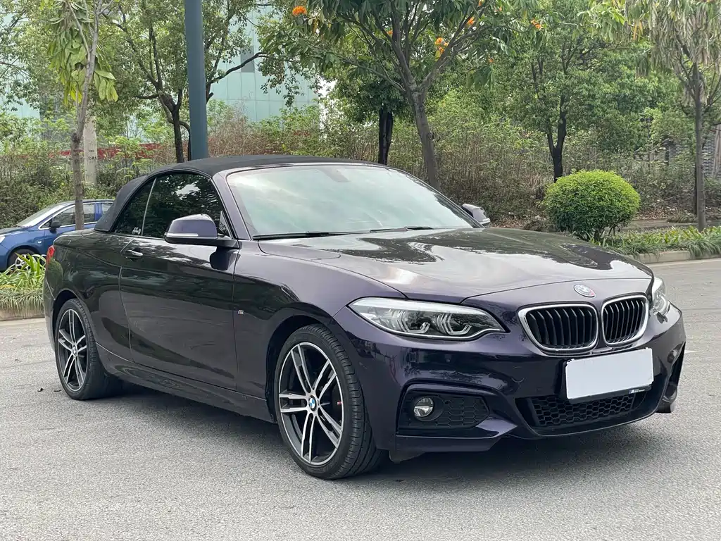 BMW 2 Series Imported 2019 225i Convertible Coupe Exclusive M Sports Package купить на сайте DeffCars