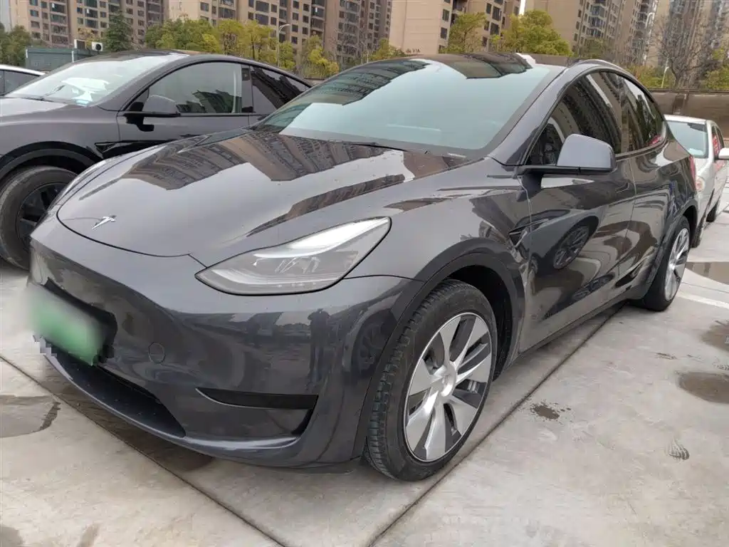 Model Y 2022 rear-wheel drive version купить на сайте DeffCars
