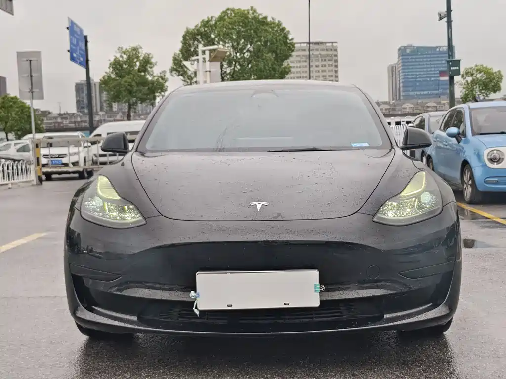 Model 3 2022 rear-wheel drive version купить на сайте DeffCars