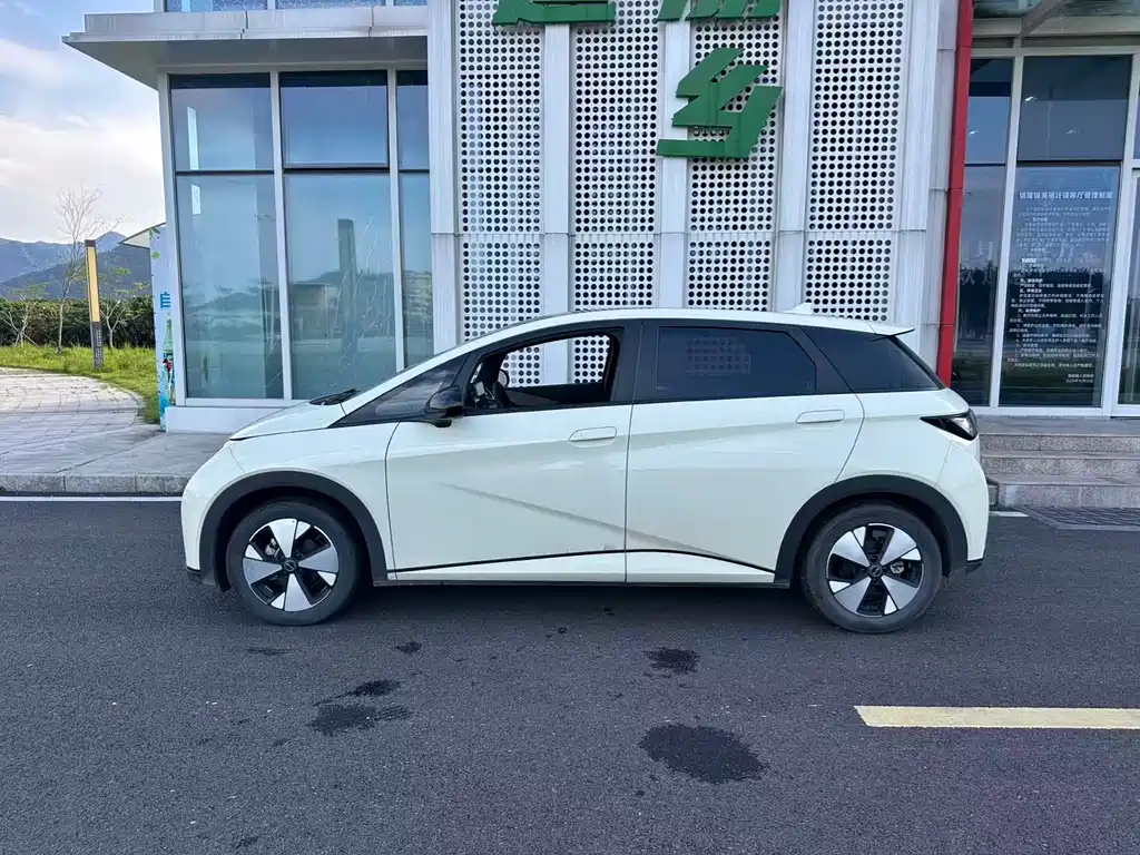 Dolphin 2023 420km Fashion Edition купить на сайте DeffCars