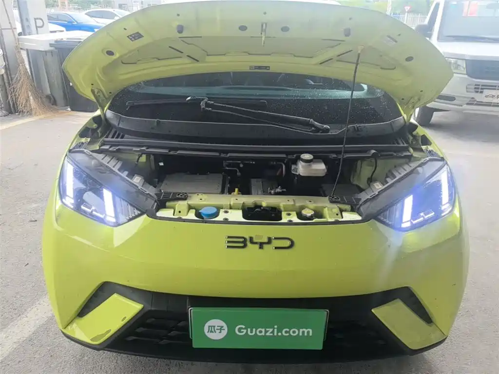 Seagull 2024 Honor Edition 305km Free Edition купить на сайте DeffCars