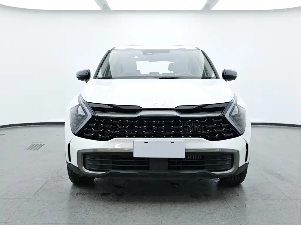 Lion Expands the World 2025 1.5T Two-wheel Drive Premium Intelligent Edition купить на сайте DeffCars