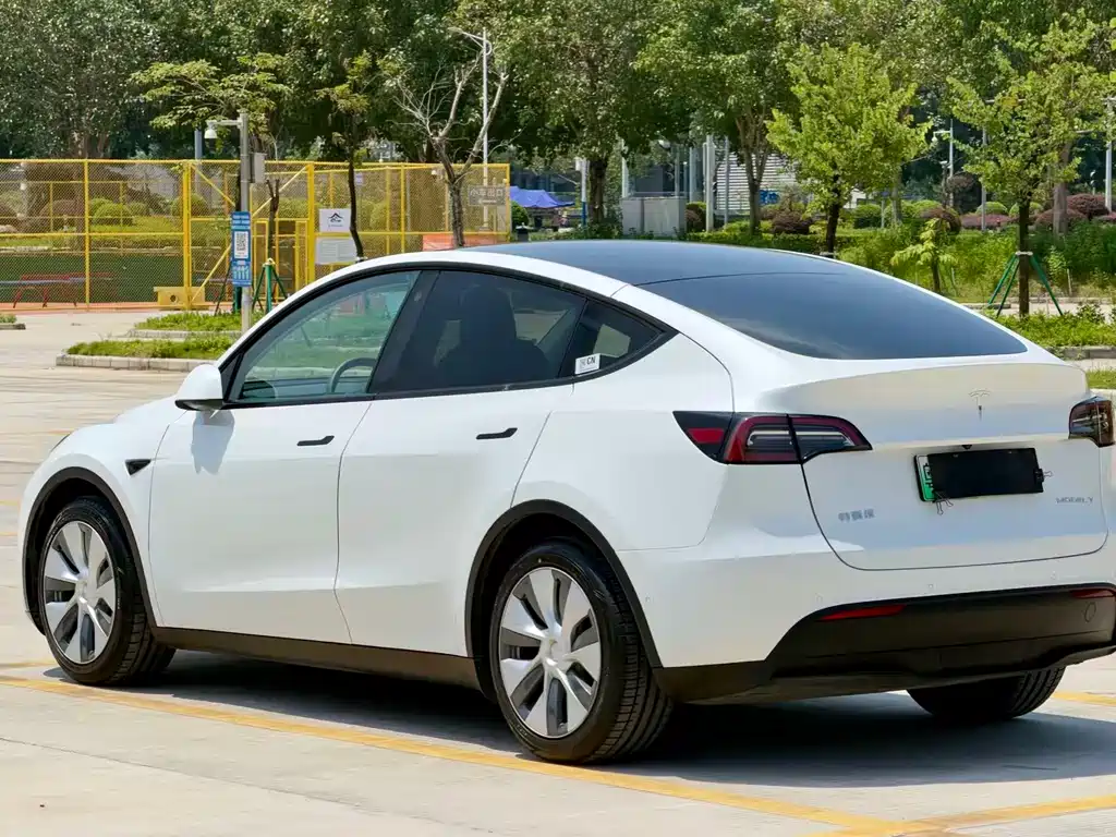 Model Y 2021 standard range rear-wheel drive version купить на сайте DeffCars