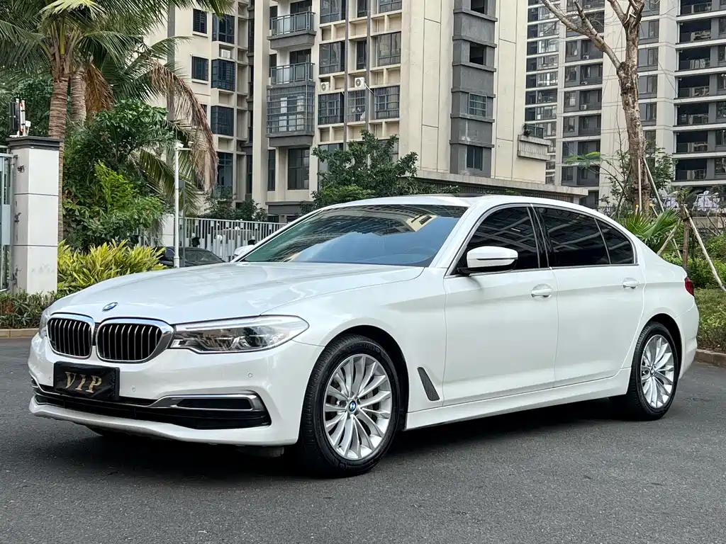 BMW 5 Series 2020 530Li Leading M Sports Package купить на сайте DeffCars