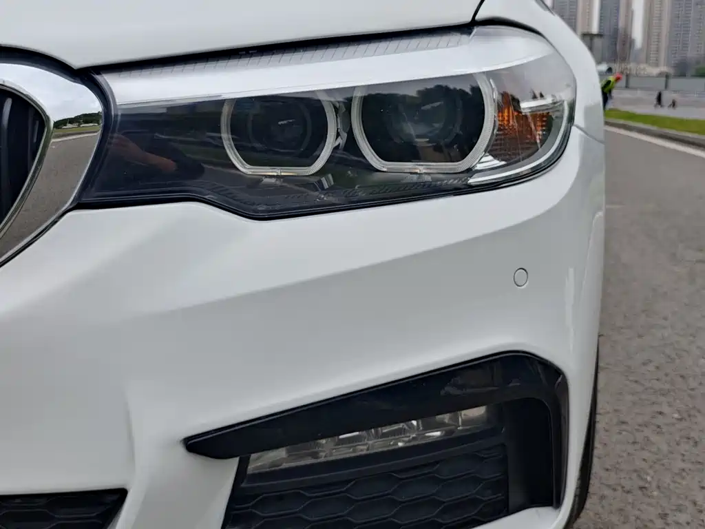 BMW 5 Series 2018 530Li Leading M Sports Package купить на сайте DeffCars