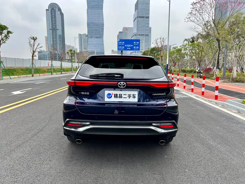 Lingfang HARRIER 2022 2.0L CVT two-wheel drive exclusive version купить на сайте DeffCars