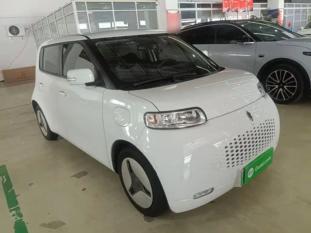 Euler White Cat 2020 360km luxury model купить на сайте DeffCars