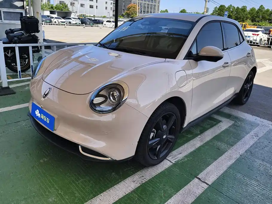 Euler Good Cat 2024 Model 401km Luxury Model купить на сайте DeffCars