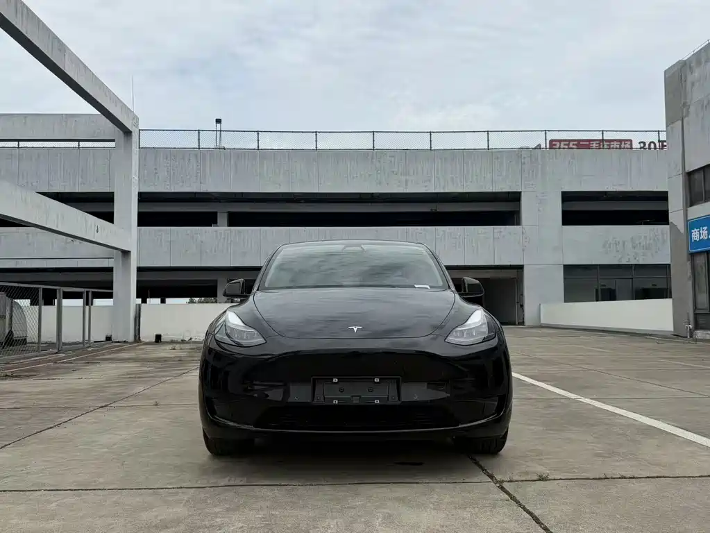 Model Y 2022款 后轮驱动版 купить на сайте DeffCars