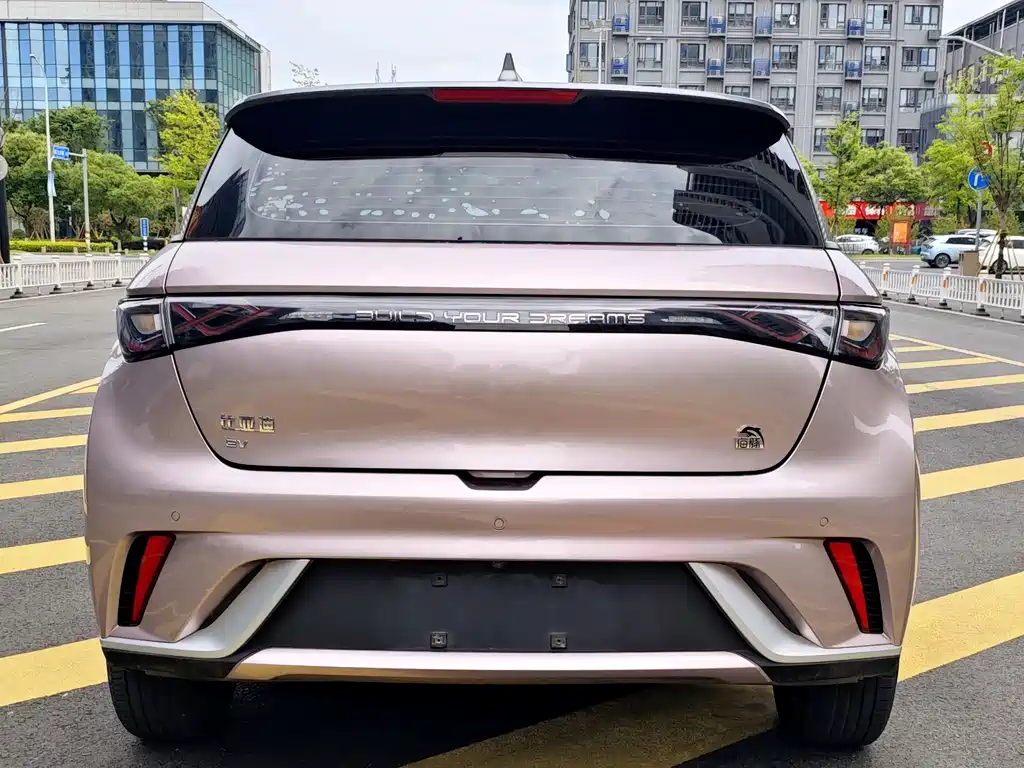 Dolphin 2021 405km fashion version купить на сайте DeffCars