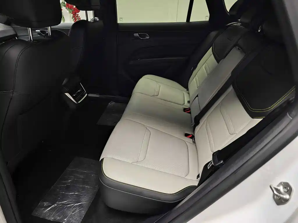 Equator Sport 2025 Premium Collar Type PLUS купить на сайте DeffCars