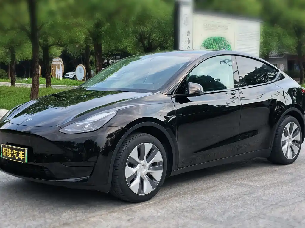 Model Y 2023 rear-wheel drive version купить на сайте DeffCars