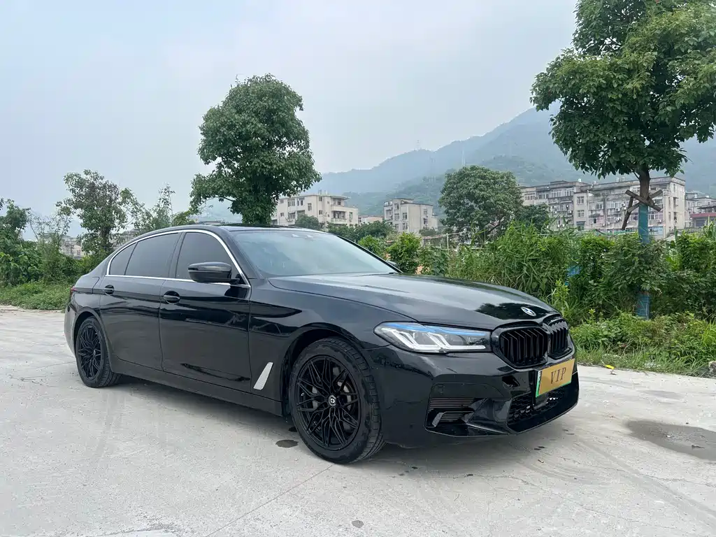 BMW 5 Series New Energy 2020 530Le Deluxe Package купить на сайте DeffCars