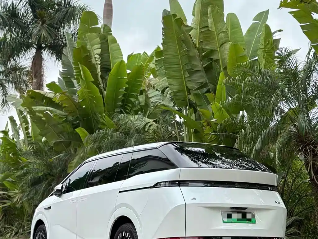 Xpeng X9 2025 pure electric 740 long battery life Max купить на сайте DeffCars