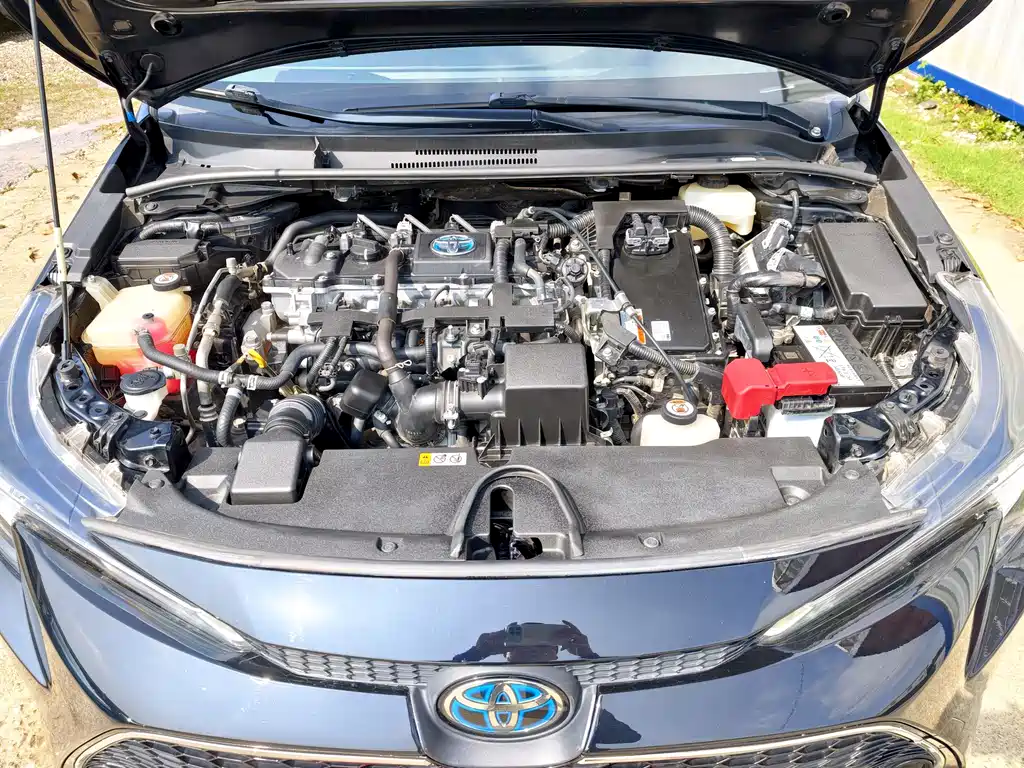 Ralink 2019 Dual Engine 1.8H E-CVT Deluxe Edition National V купить на сайте DeffCars