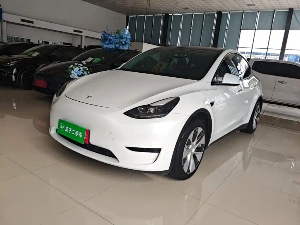 Model Y 2022 rear-wheel drive version купить на сайте DeffCars