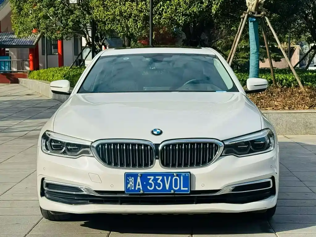BMW 5 Series 2020 530Li Exclusive Luxury Package купить на сайте DeffCars