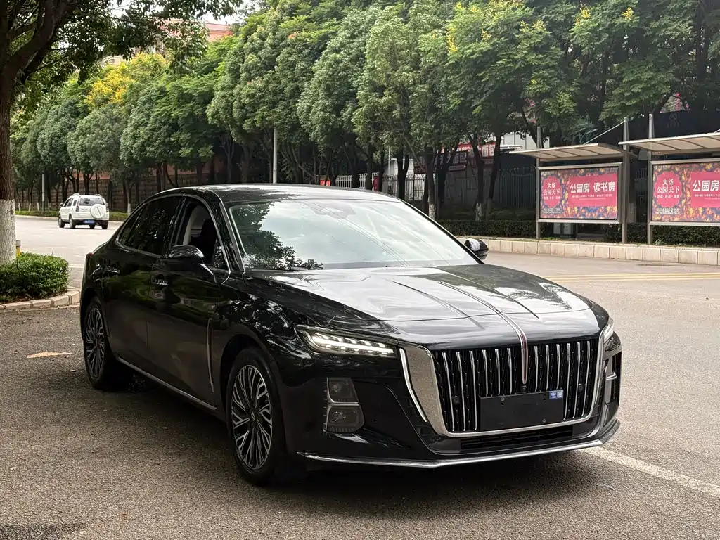 Hongqi H5 2023 2.0T Automatic Intelligent Connected Flag Edition купить на сайте DeffCars
