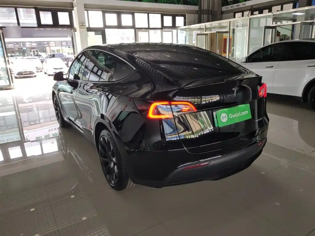 Model Y 2023 long-range all-wheel drive version купить на сайте DeffCars