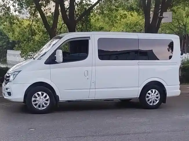 Xintu V80 2020 2.0T AMT PLUS City Edition Short Axis Ultra Low Roof 5/6 Seats купить на сайте DeffCars