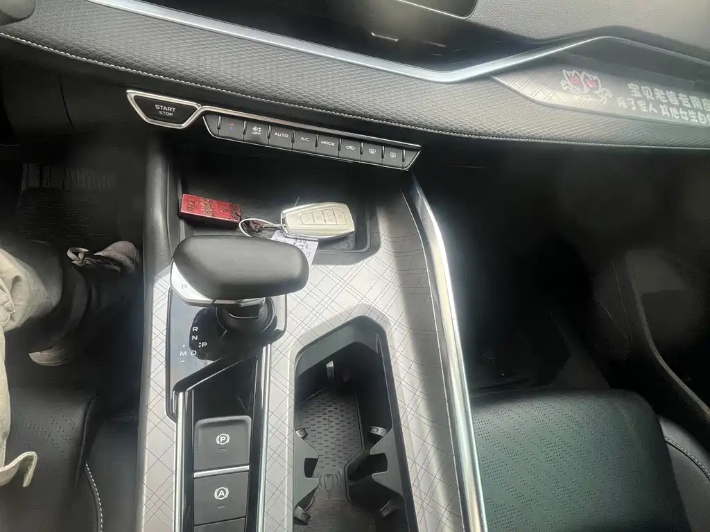 Xingrui 2021 2.0TD luxury + model купить на сайте DeffCars