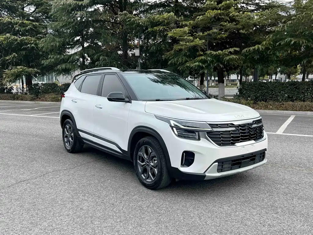 Sethus 2023 1.5L CVT Deluxe Edition купить на сайте DeffCars