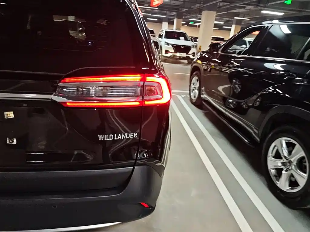 Weilanda 2022 2.0L CVT two-wheel drive urban version купить на сайте DeffCars