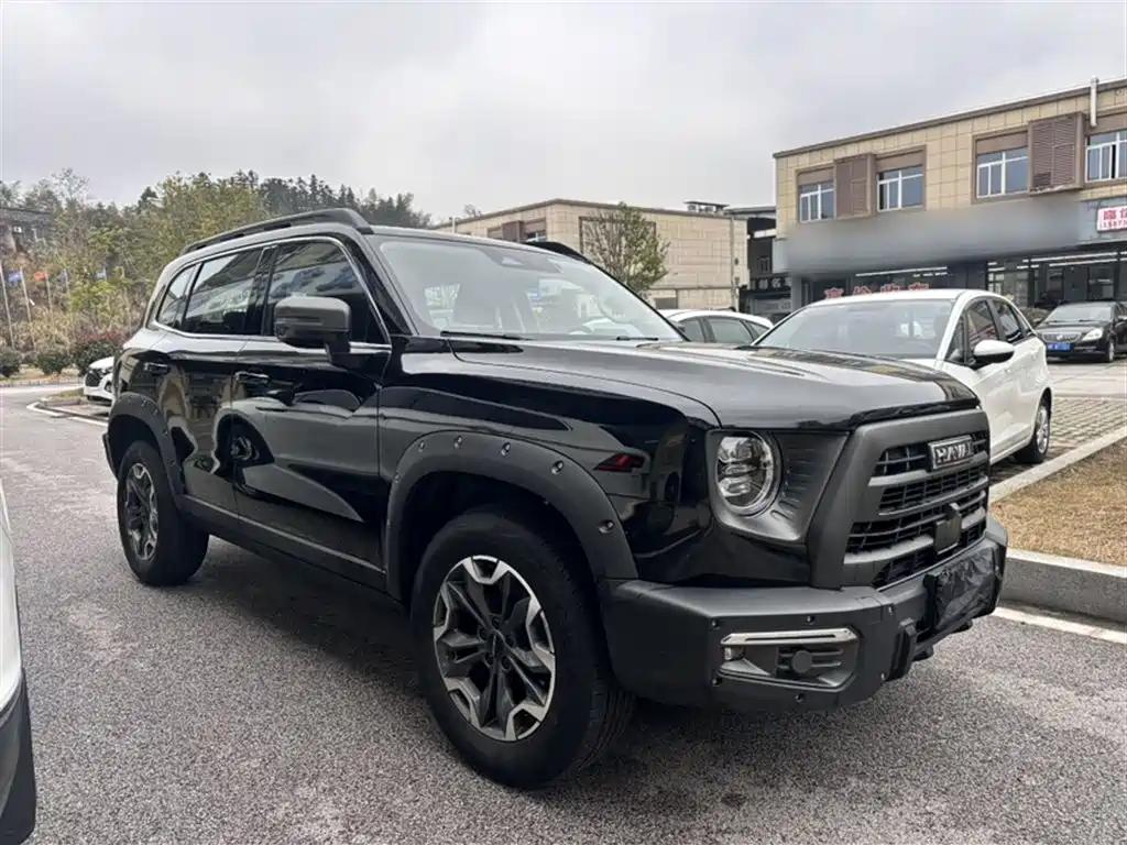 Havaldog 2024 2.0T DCT Chinese Pastoral Dog Edition купить на сайте DeffCars