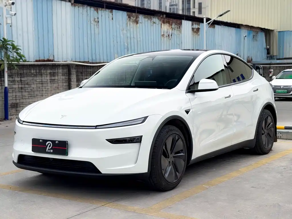 Model Y 2025 rear-wheel drive version купить на сайте DeffCars