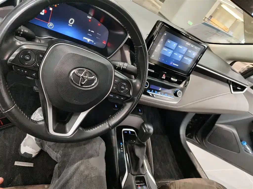 Asia Lion 2021 2.0L flagship version купить на сайте DeffCars