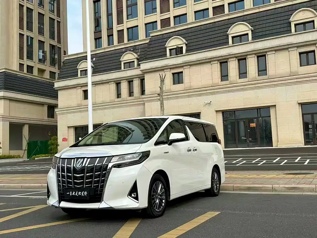Alfa 2019 Shuangqing 2.5L Premium Edition купить на сайте DeffCars