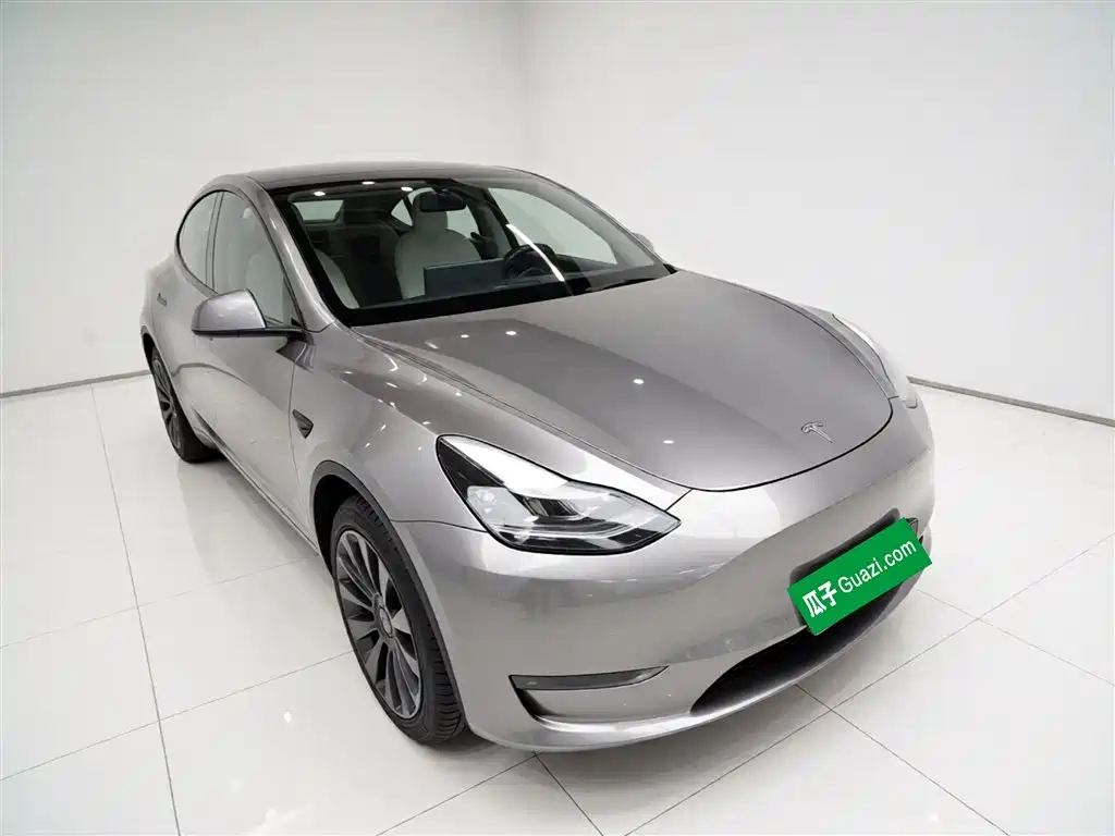 Model Y 2021 standard range rear-wheel drive version купить на сайте DeffCars