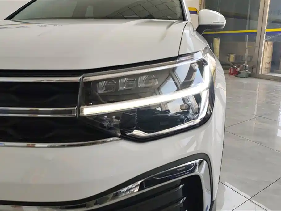 Tuyue 2024 300TSI two-wheel drive full moon version купить на сайте DeffCars