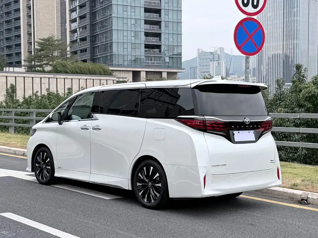 Alfa 2024 Shuangqing 2.5L Premium Edition купить на сайте DeffCars