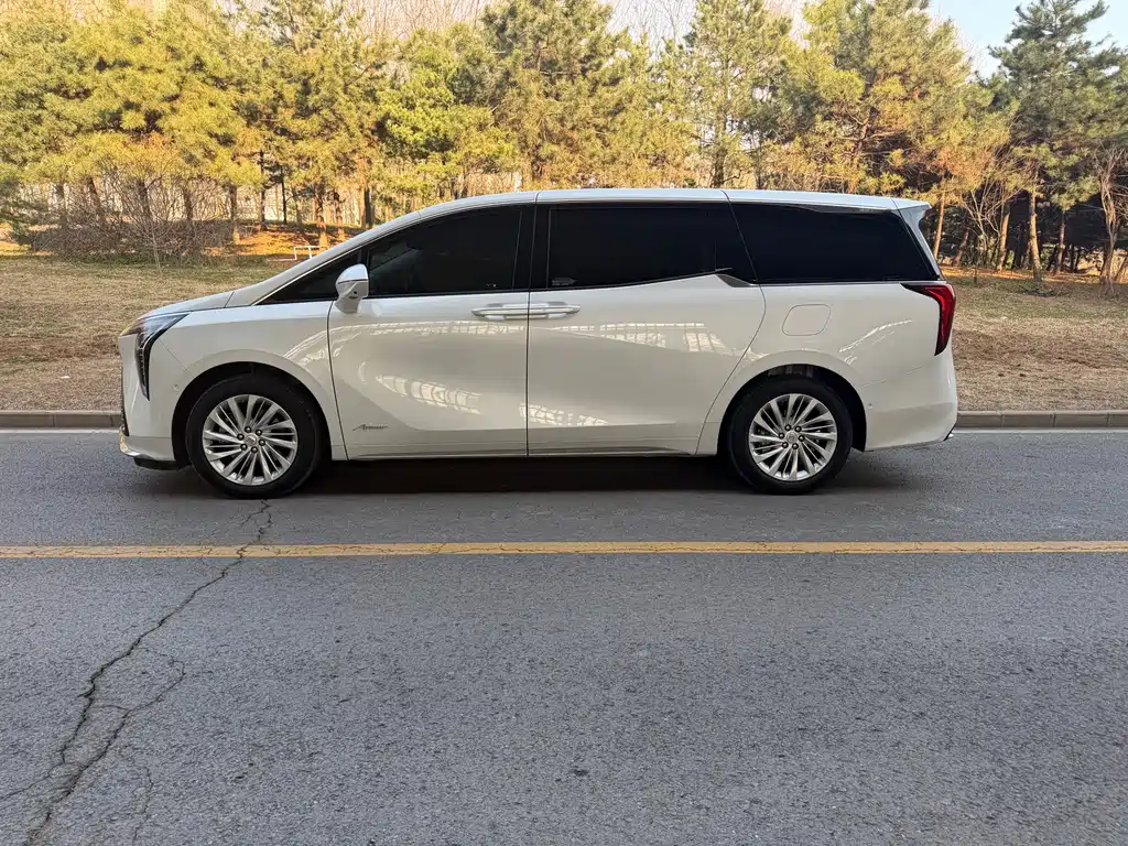 Century 2023 2.0T Six-seater Yuanshi Edition купить на сайте DeffCars