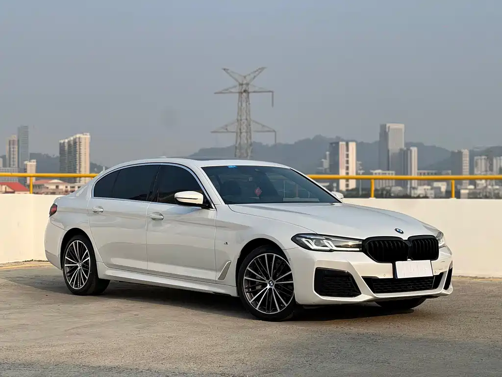 BMW 5 Series 2021 530Li Leading M Sports Package купить на сайте DeffCars