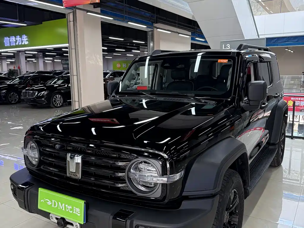 Tank 300 2023 Off-Road Version 2.0T Conqueror купить на сайте DeffCars