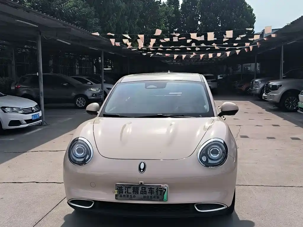 Euler Good Cat 2023 Model 401km Standard Range Honor Type Lithium Iron Phosphate купить на сайте DeffCars