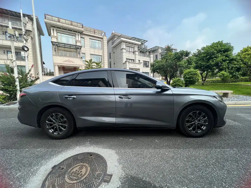 Qin L 2024 DM-i 80KM leading model купить на сайте DeffCars
