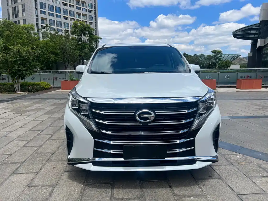 Trumpchi M8 2023 Lead Show Series 390T Exclusive Edition купить на сайте DeffCars